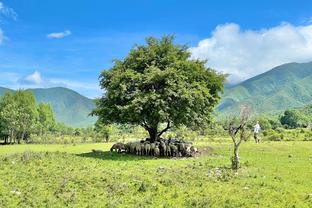 刘鹏谈球队险遭逆转：想一口气吃掉对手 但现实给了我们一棒子